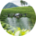 Avia Solution