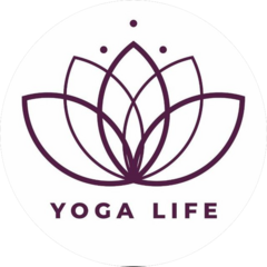 Студия здорового фитнеса Yoga Life Студия здорового фитнеса Yoga Life