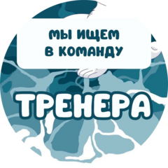 Центр плавания и аквареабилитации Морские котики