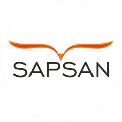 Международная школа развития интеллекта SAPSAN