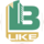 B Like Construction
