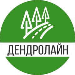 Дендролайн