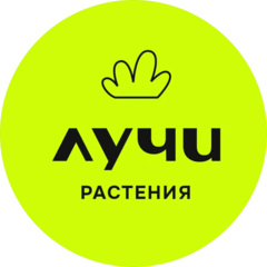 Лучи