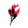 Ҹ 