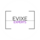 EVIXE EXPERTS