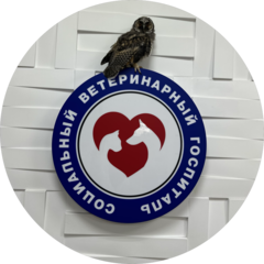 Социальный Ветеринарный Госпиталь