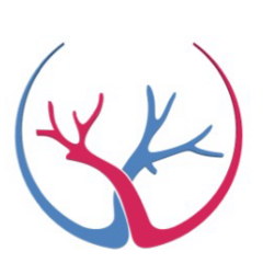 Angioestetic-многопрофильная клиника эстетической медицины