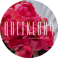 Петрикина Эльмира Ивановна