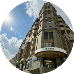 Барышева Анна Александровна