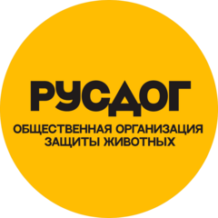 Региональная общественная организация защиты животных РусДог