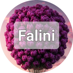 Цветочный мир Falini (Рамазанова Хатын Сохраб Кызы)