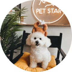 Woolfy Beauty Studio