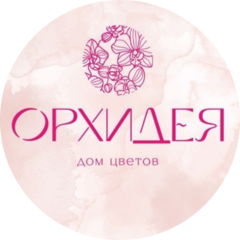 Дом цветов Орхидея Дом цветов Орхидея