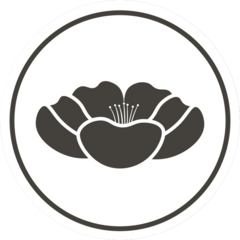 de Kireu