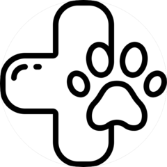 Ветеринарная клиника KIS.VET