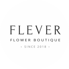 Flever