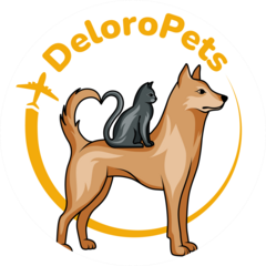 Deloro Trading FZCO