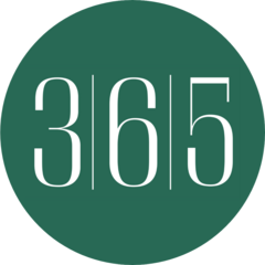 365 Consulting