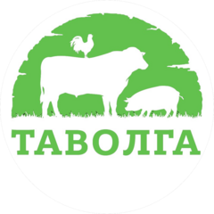 Таволга