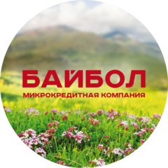 Микрокредитная Компания Байбол
