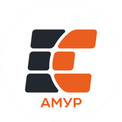 Кейсистемс-Амур