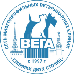 Вылегжанин Николай Александрович