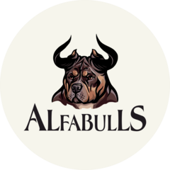 AlfaBulls
