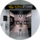Kingstore (   )