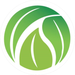 Биогенезис