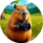  CopyBar (   )