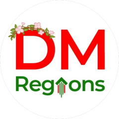 DM Regions (ИП Федотова Ульяна Олеговна)