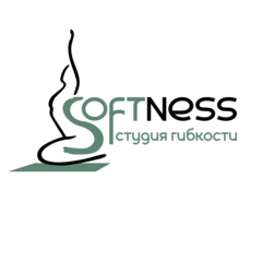 Студия гибкости SoftNess