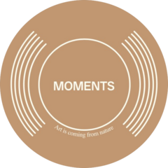 Moments