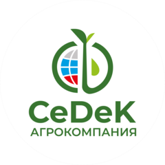 СеДеК Домодедово