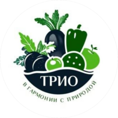 ТД ТРИО