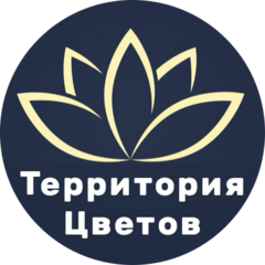 Салон цветов (ИП Широков Андрей Павлович)