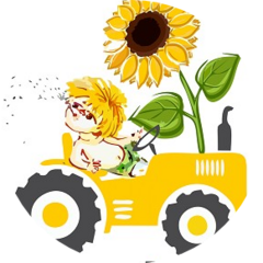 Антошкин дворик