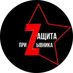 Защита Интересов Призывника