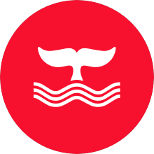 Whales DMCC