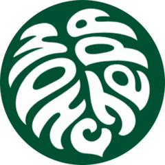Monstera shop