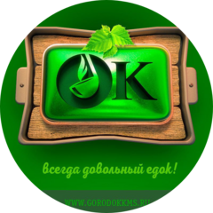 Романтеева Светлана Геннадьевна