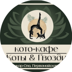 Котокафе Коты & Гвозди