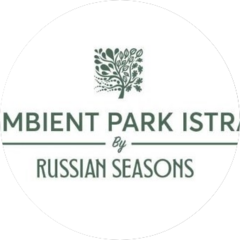 Эмбиент Парк