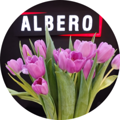 Магазины обуви Albero