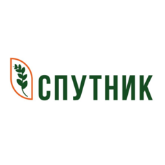 Спутник