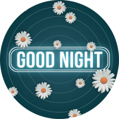 Good Night Show