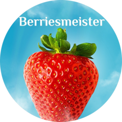 Berriesmeister