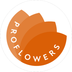 PROFLOWERS