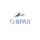 Промышленная Академия Олимп