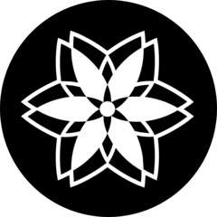 Fractalla Design, Студия